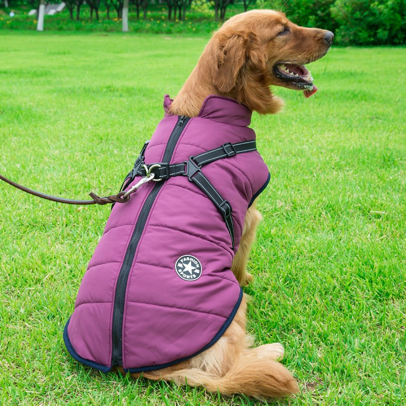 Warm Winter Dog Coats for Small Dogs