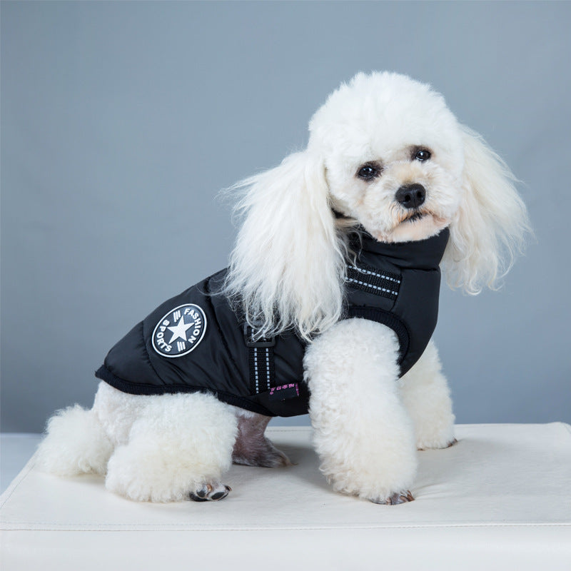 Warm Winter Dog Coats for Small Dogs