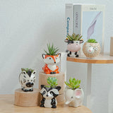 Vintage Nordic Ceramic Animal Pots for Succulents