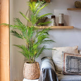 Large Artificial Vintage  Palm Tree for Home Decor