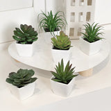 Vintage 6PCS Mini Artificial Succulent Home Decor