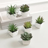 Vintage 6PCS Mini Artificial Succulent Home Decor