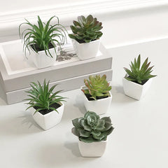 6PCS Mini Artificial Succulent Home Decor