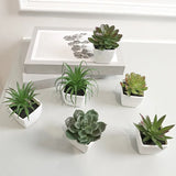 Vintage 6PCS Mini Artificial Succulent Home Decor