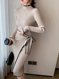 Elegant Vintage  Autumn Winter Knitted Dress - Office Fashion