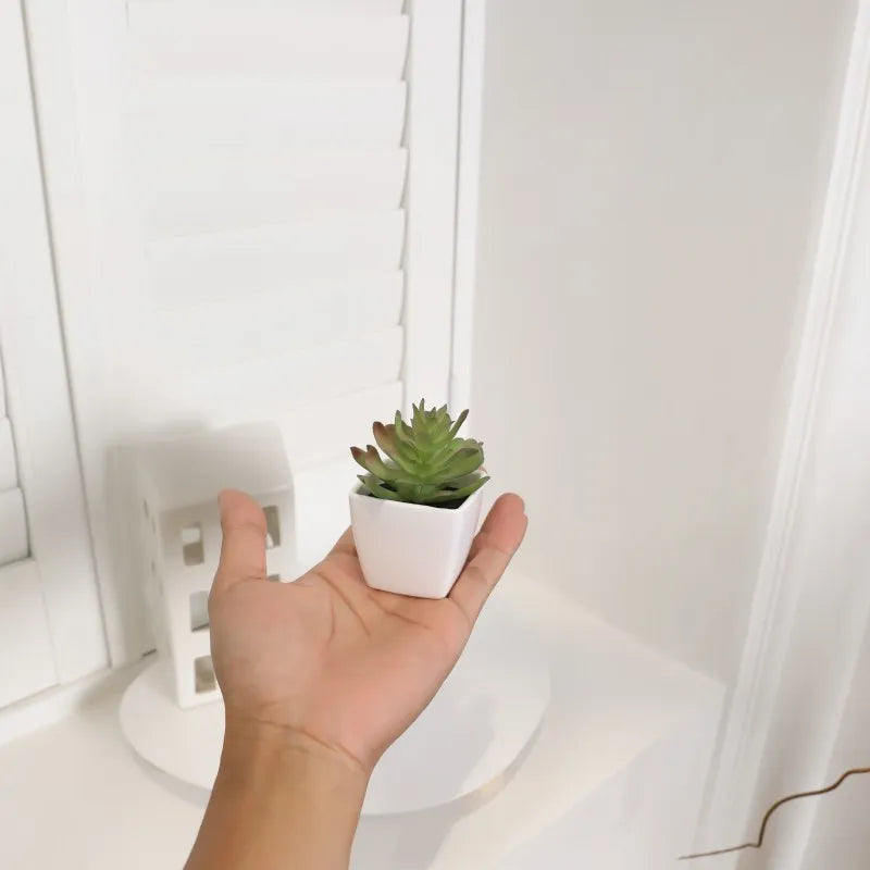 6PCS Mini Artificial Succulent Home Decor