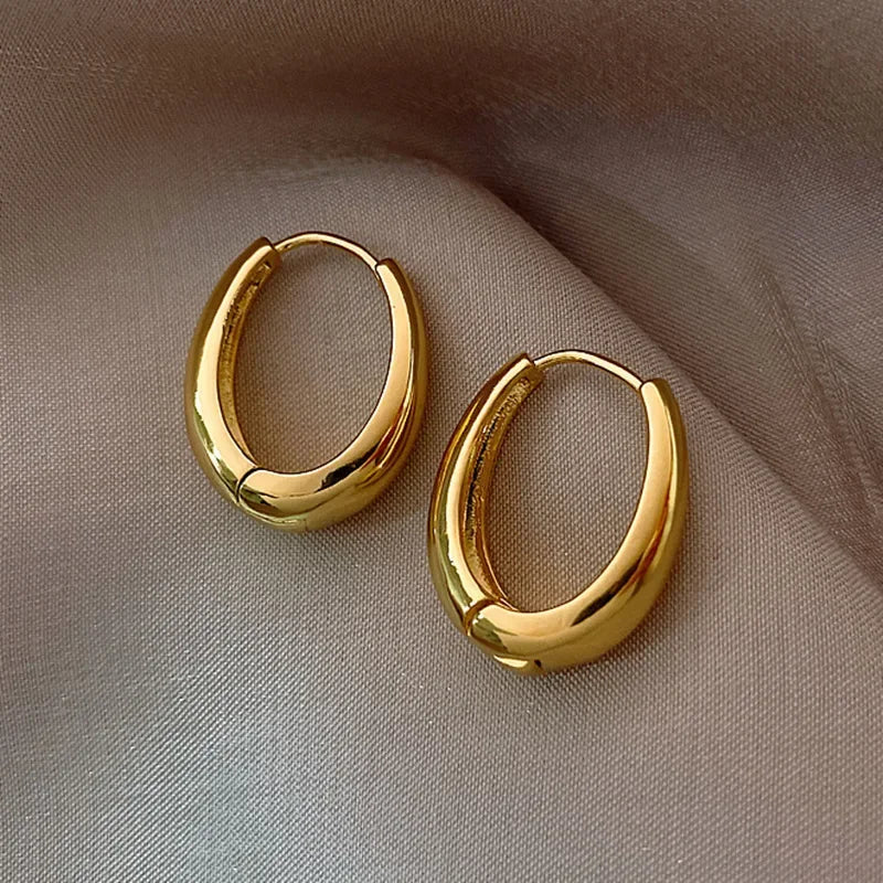 Vintage 2023 Metal Hoop Earrings Women