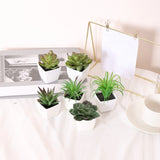 Vintage 6PCS Mini Artificial Succulent Home Decor